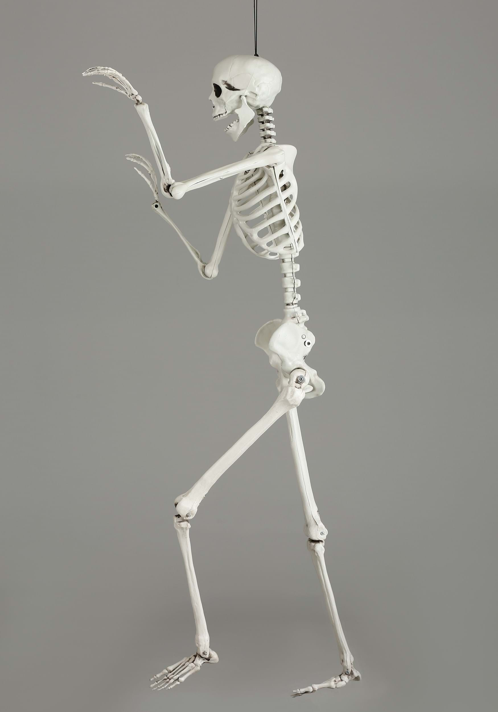 5 Ft Poseable Skeleton Lovely Posable 5 Ft Skeleton