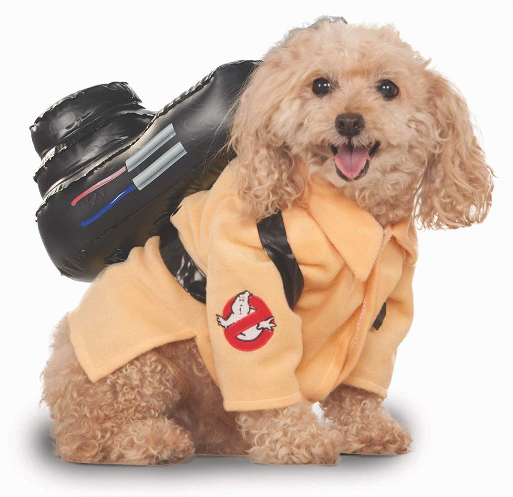 A Dog Costume Lovely 50 Best Small Dog Halloween Costumes