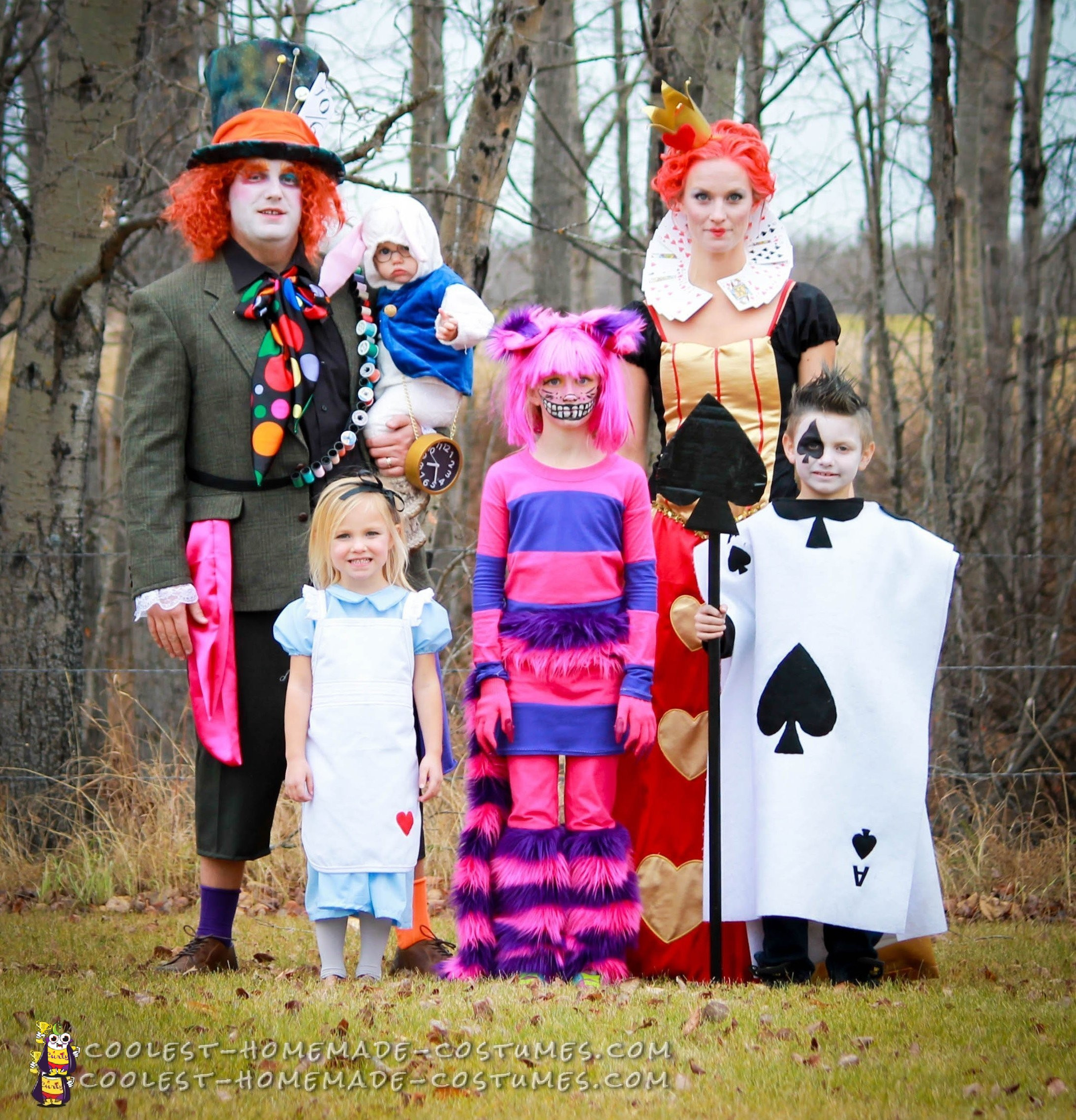 Alice In Wonderland Family Costumes Fresh Alice In Wonderland Family Costumes