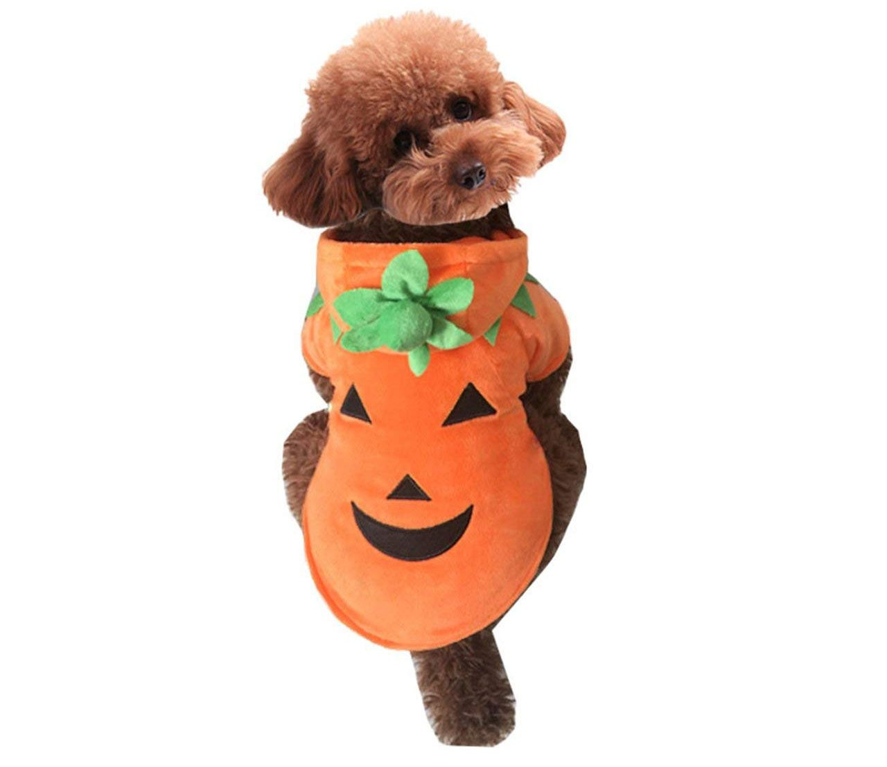 Amazon Dog Halloween Costumes Awesome the Best Dog Halloween Costumes On Amazon Under $25