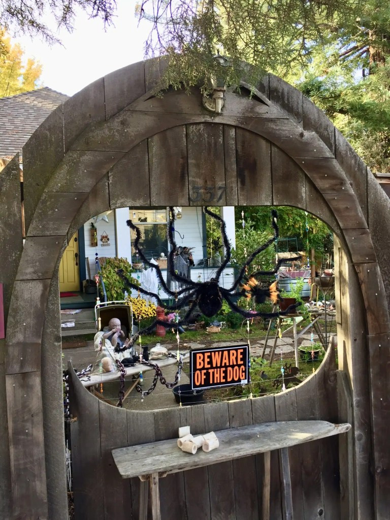 Ashland Halloween Decor Luxury ashland Halloween Decorations – Walk ashland