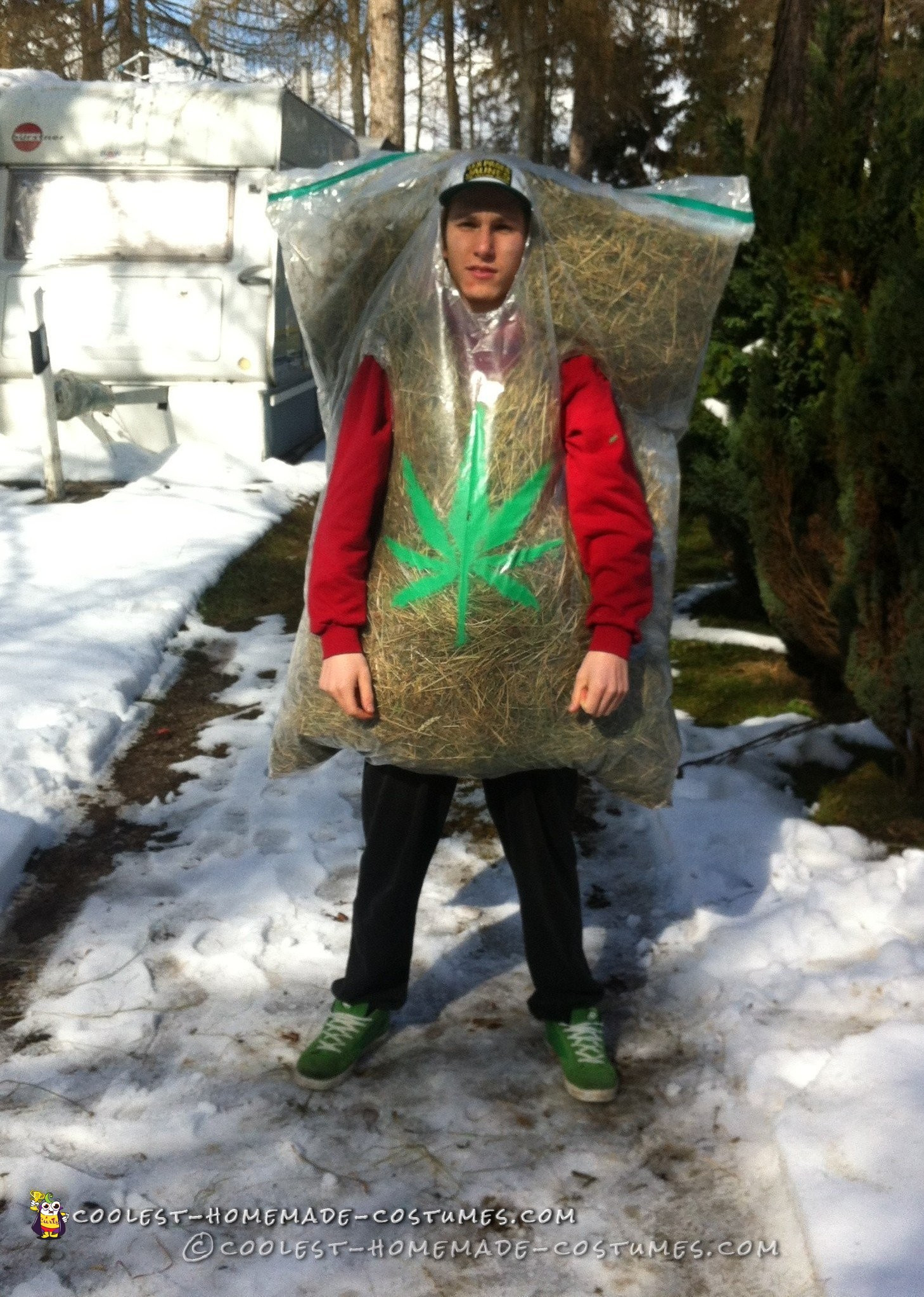 Bag Of Weed Costume Best Of Hilarious Homemade Bag Of Weed Costume for Halloween