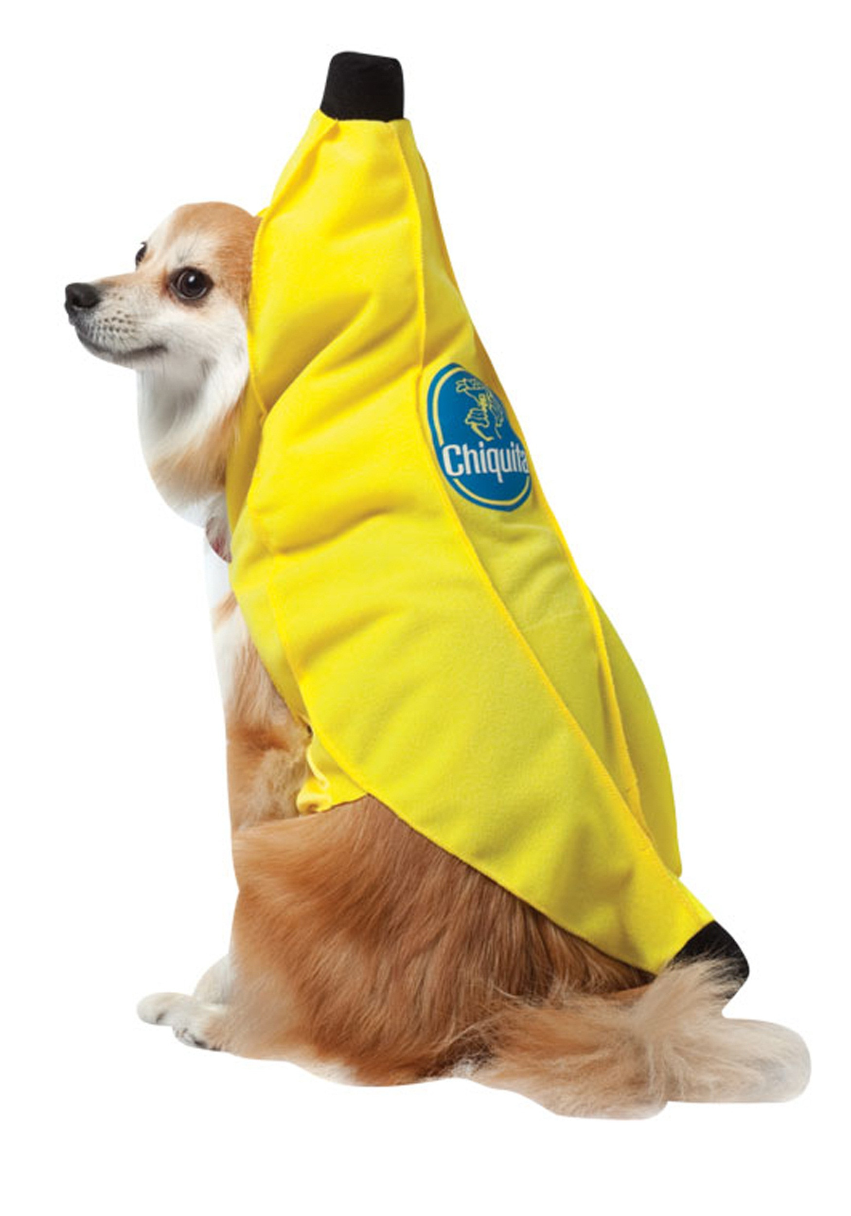 Banana Dog Costume Awesome Chiquita Banana Dog Costume