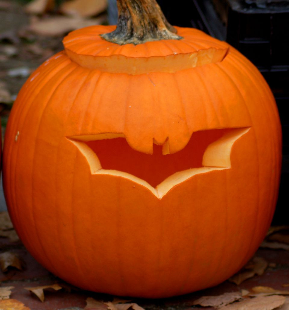 Bat Carved Pumpkin Unique Pumpkin for Carving Ideas