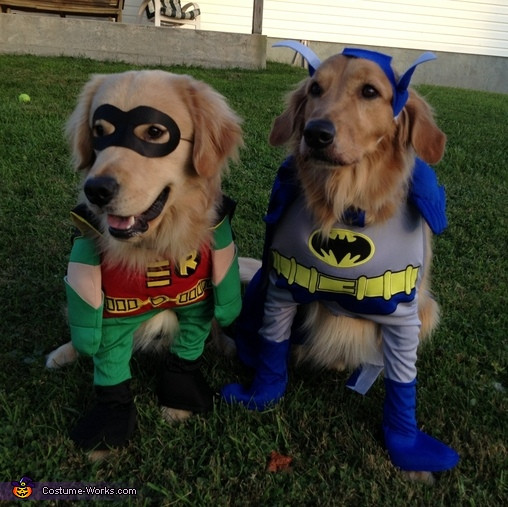 Batman and Robin Dog Costumes New Batman and Robin Costumes for Dogs