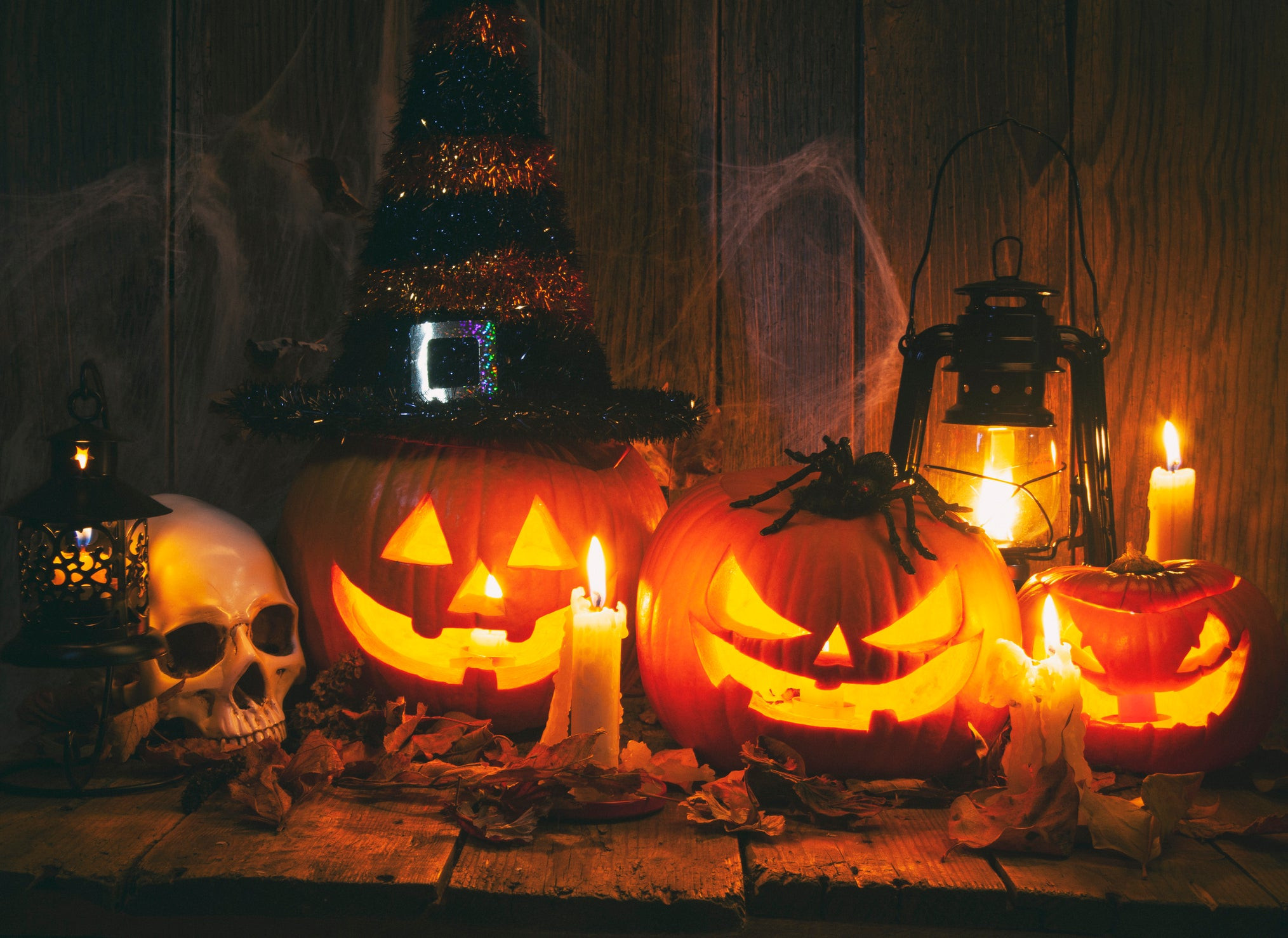 Best Halloween themes Beautiful Best Halloween Decorations to Scare Up A Good Time This October