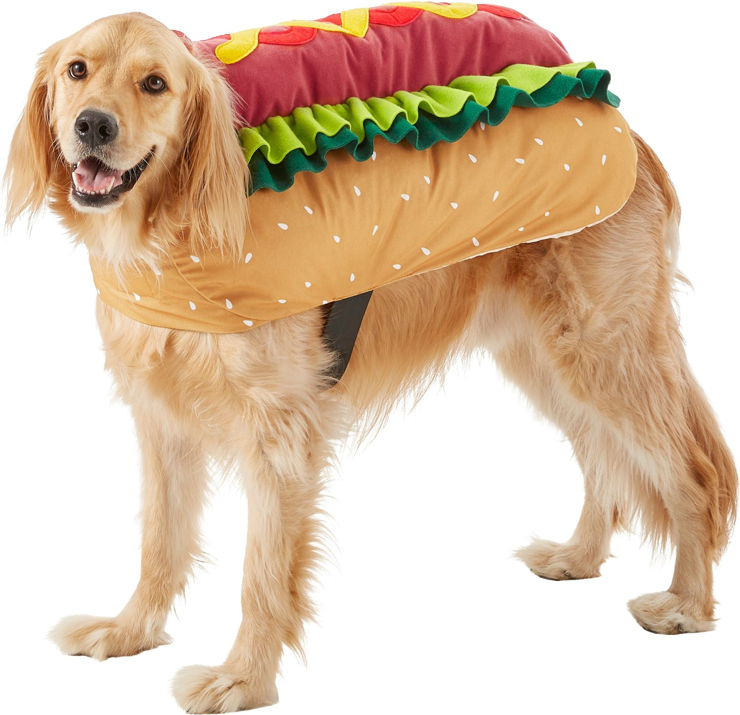 Big Dog Costumes Best Of Frisco Hotdog Dog Costume Xx Chewy