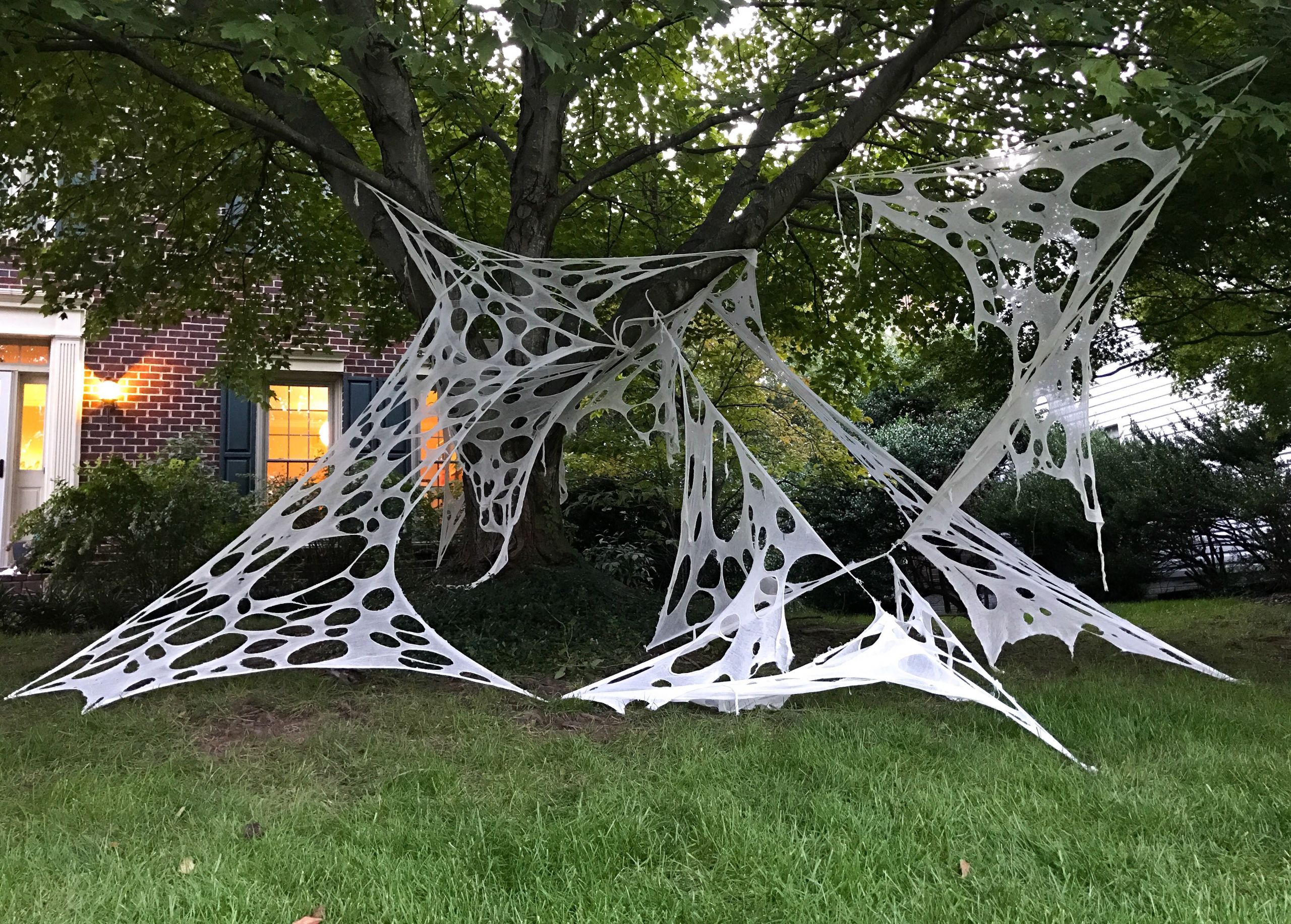 Big Spider Web Decoration Lovely Giant Halloween Spider Webs south Lumina Style