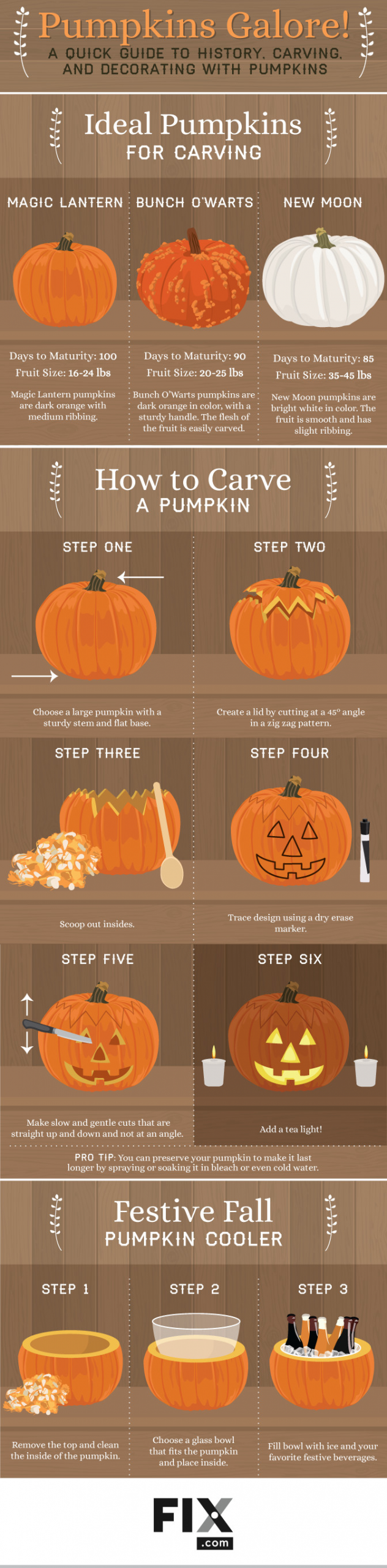 Carving Pumpkins History Elegant Pumpkins Galore A Quick Guide to History Carving and Decorating with