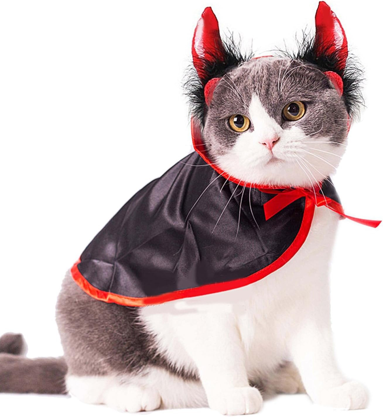 Cat In A Halloween Costume Inspirational 14 Best Halloween Costumes for Your Cat This Year