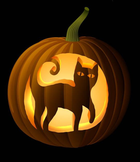 Cat Pumpkin Idea Awesome 20 Cat Carving Pumpkin Ideas – the Urban Decor