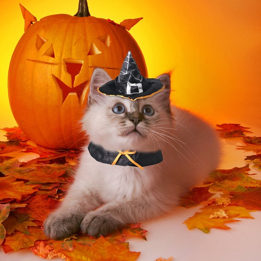 Cat Witch Costume Luxury Cat Witch Costume Best Cat Costumes for Halloween 2020