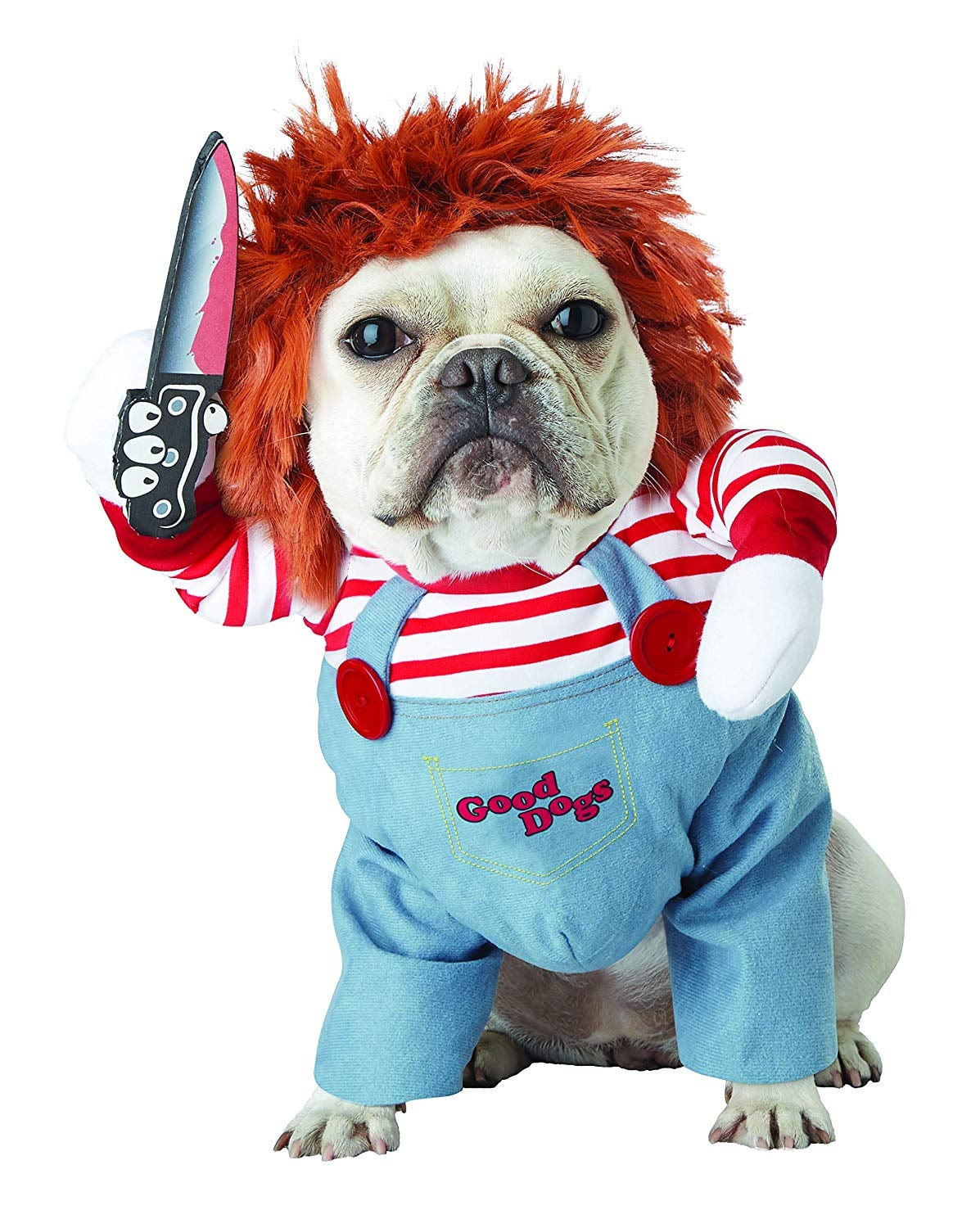 Chucky Costumes for Dogs Lovely This French Bulldog Wins Halloween with His Chucky Costume