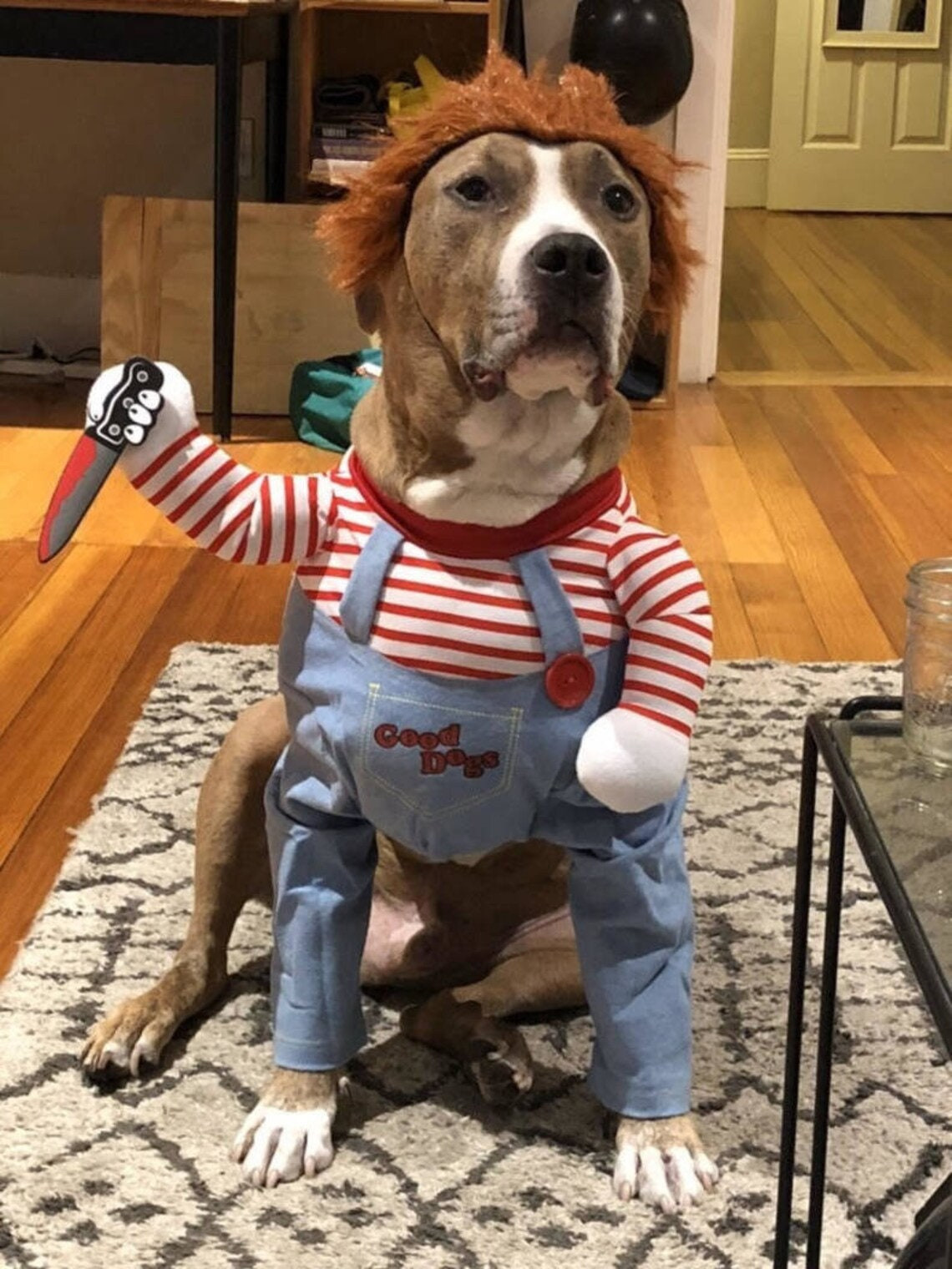 Chucky Dog Costume Inspirational Chucky Pet Costume Funny Pet Costume Chucky Dog Costume Pet Cosplay