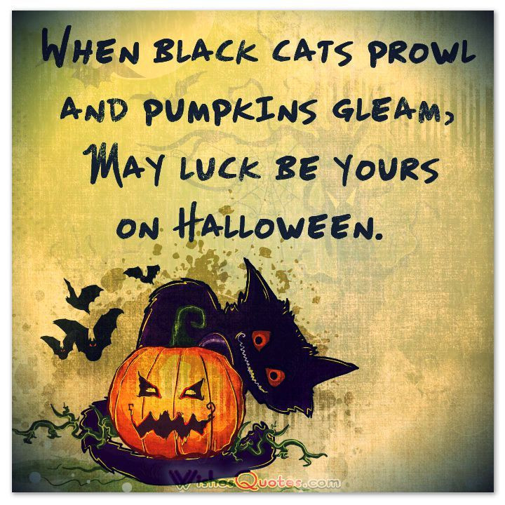 Clever Halloween Greetings Elegant Clever Halloween Captions for Instagram