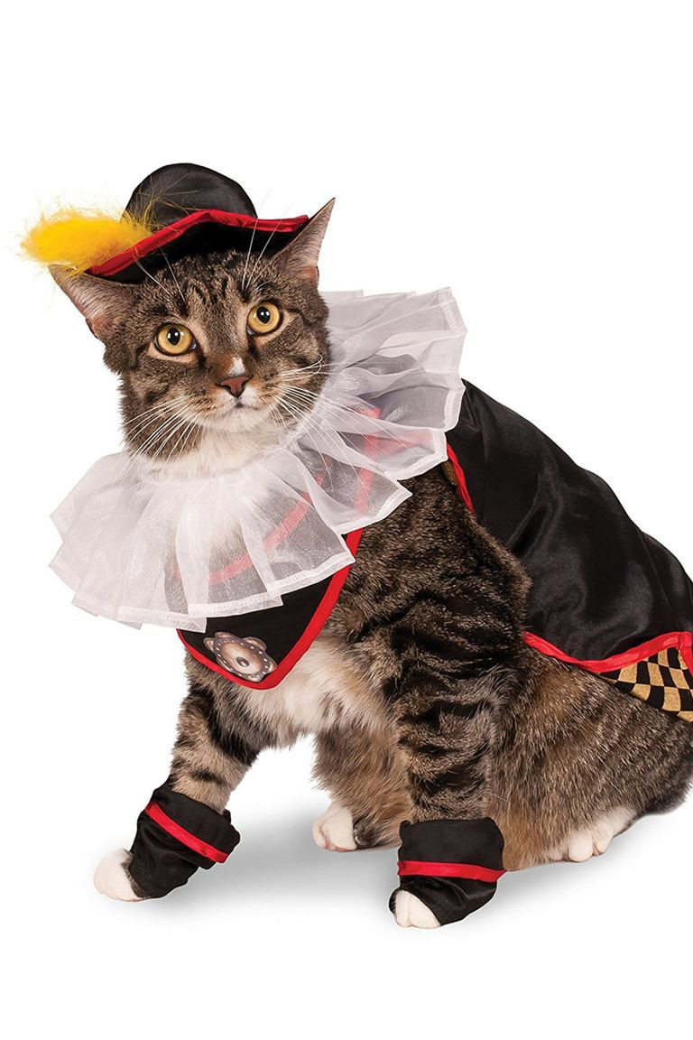 Costumes with Cats New 30 Pet Cat Halloween Costumes 2017 Cute Ideas for Cat Costumes