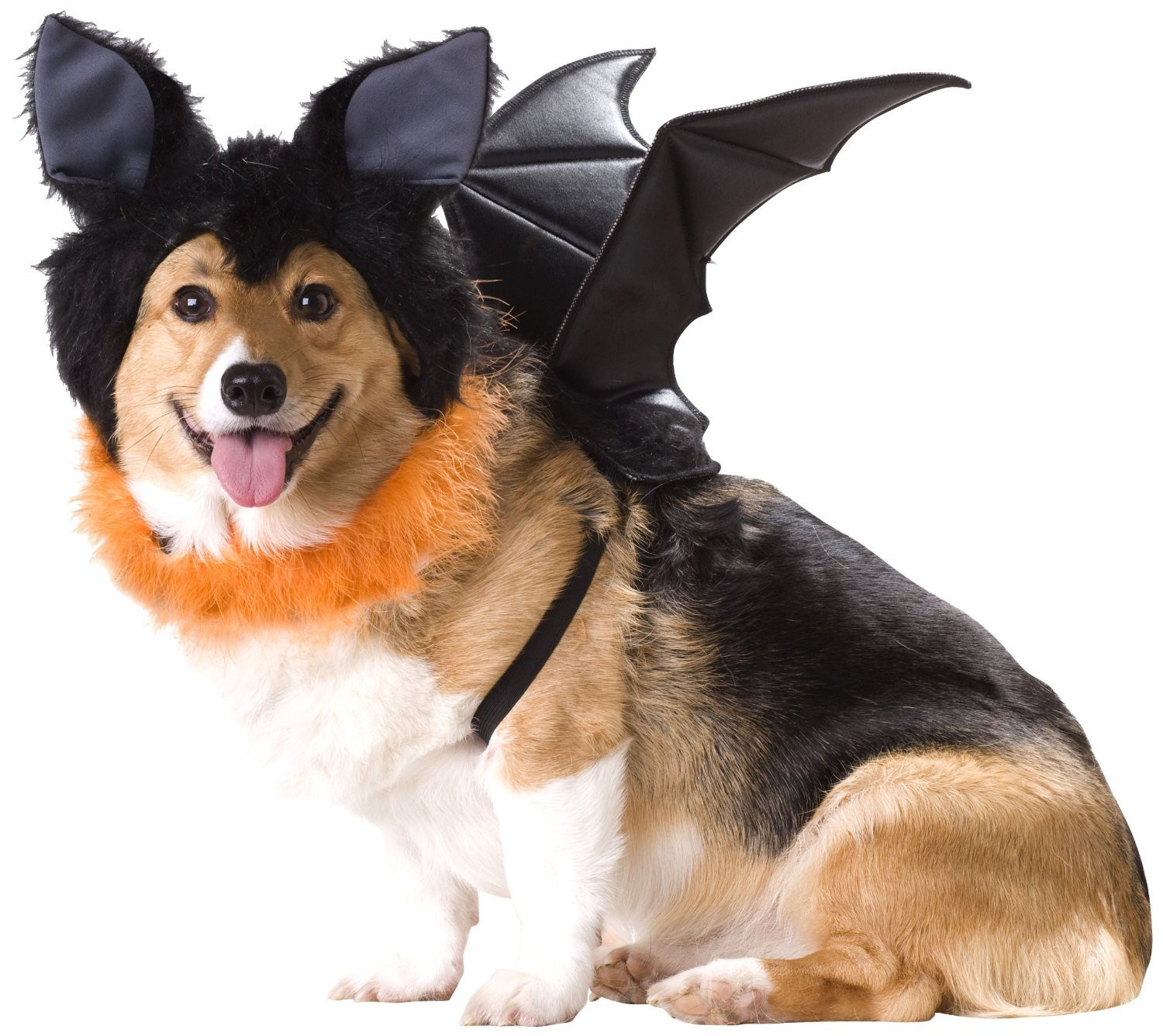 Costumes with Dogs Luxury 20 Absolutely Amazing Dog Halloween Costumes