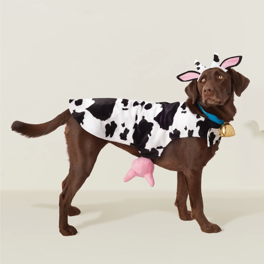 Cow Dog Costume Best Of Cow Dog Costume Best Tar Pet Halloween Costumes 2018