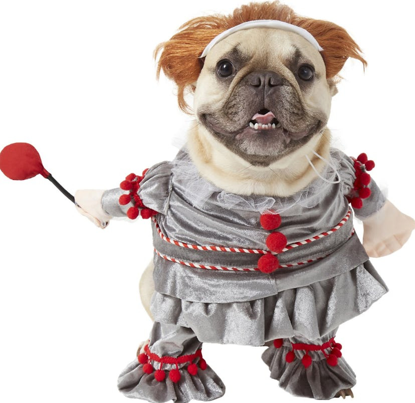 Creepy Dog Costume Beautiful 7 Scary Halloween Costumes for Dogs that are Hilariously Adorable