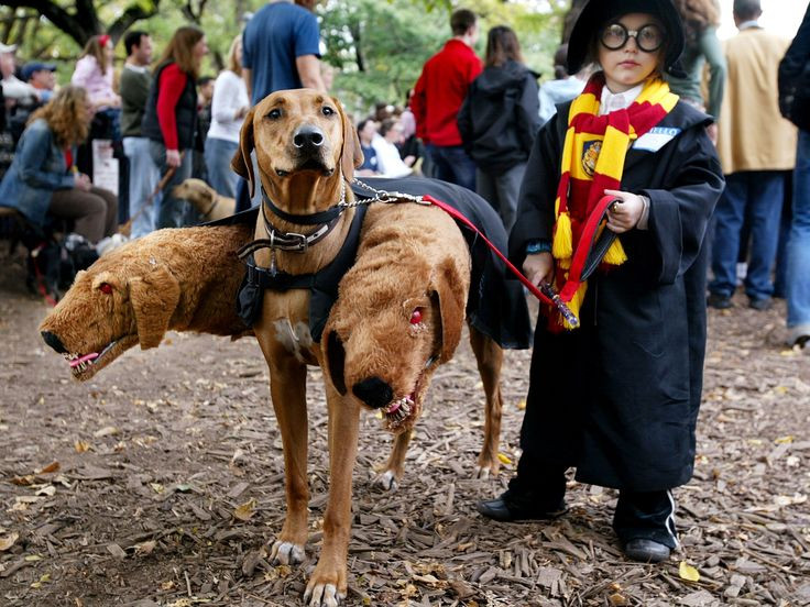 Dog and Human Halloween Costumes Best Of 25 Matching Dog and Human Halloween Costumes You Have to Try