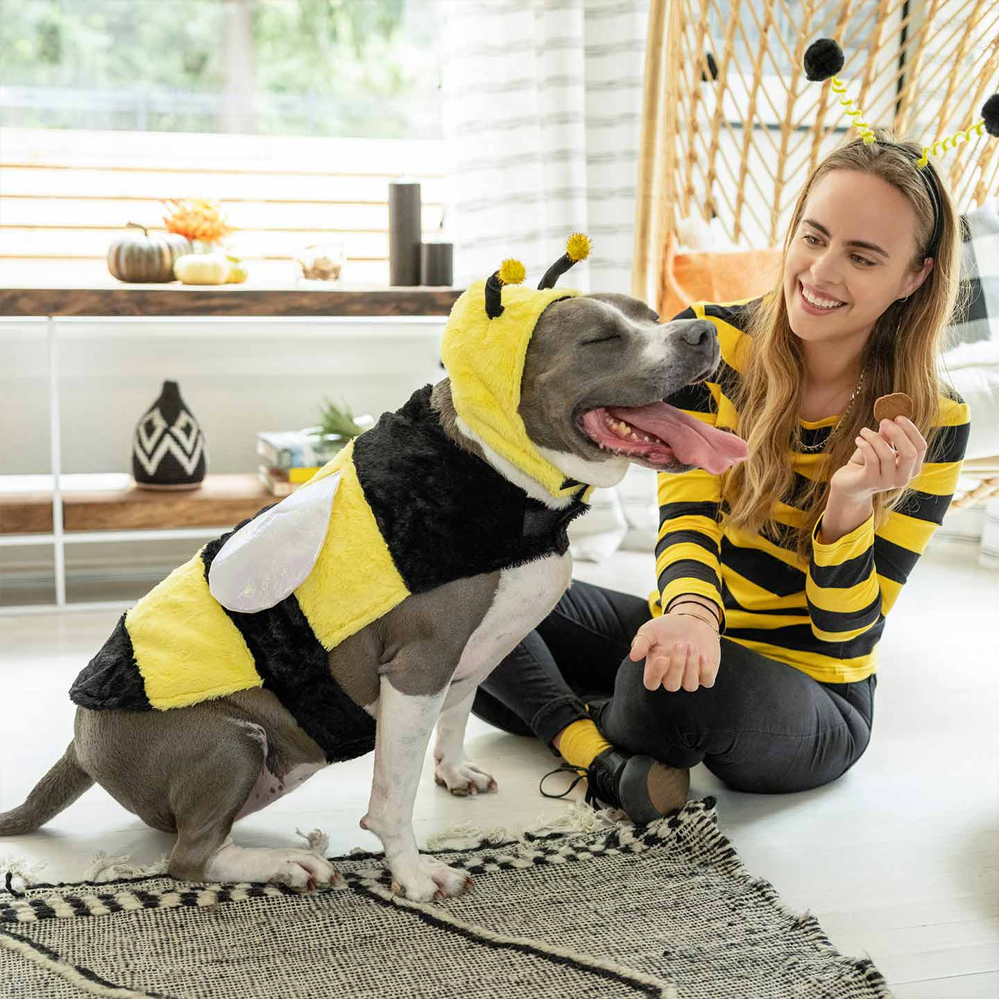 Dog and Owner Halloween Costumes Beautiful 9 Diy Halloween Costumes for Dogs Cats and their Owners