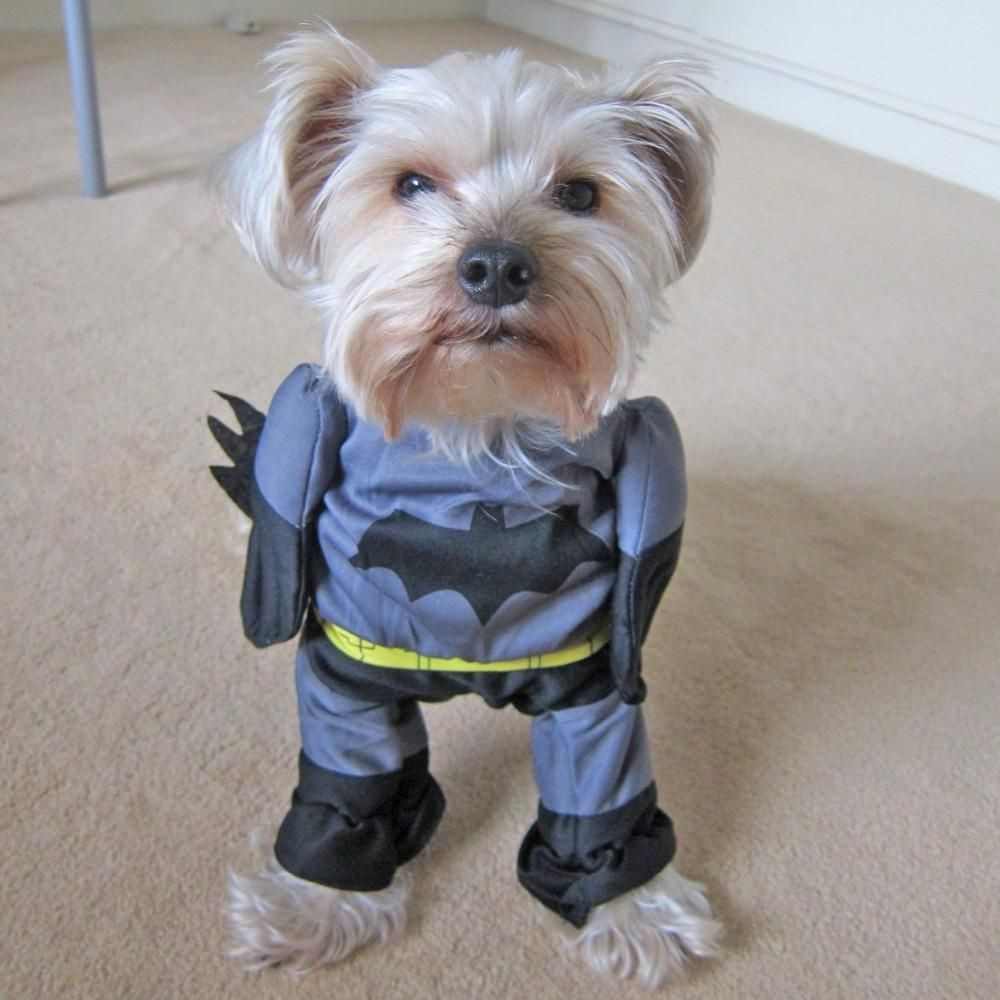 Dog Batman Costume Best Of Batman Superhero Gray with Cape Costume for Dog