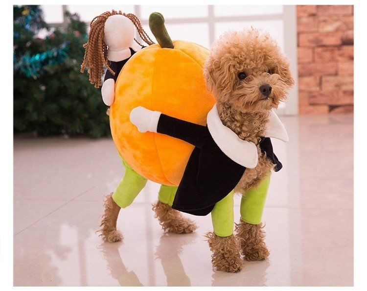 Dog Carrying Pumpkin Costume Luxury Pumpkin Carrying Dog Costume