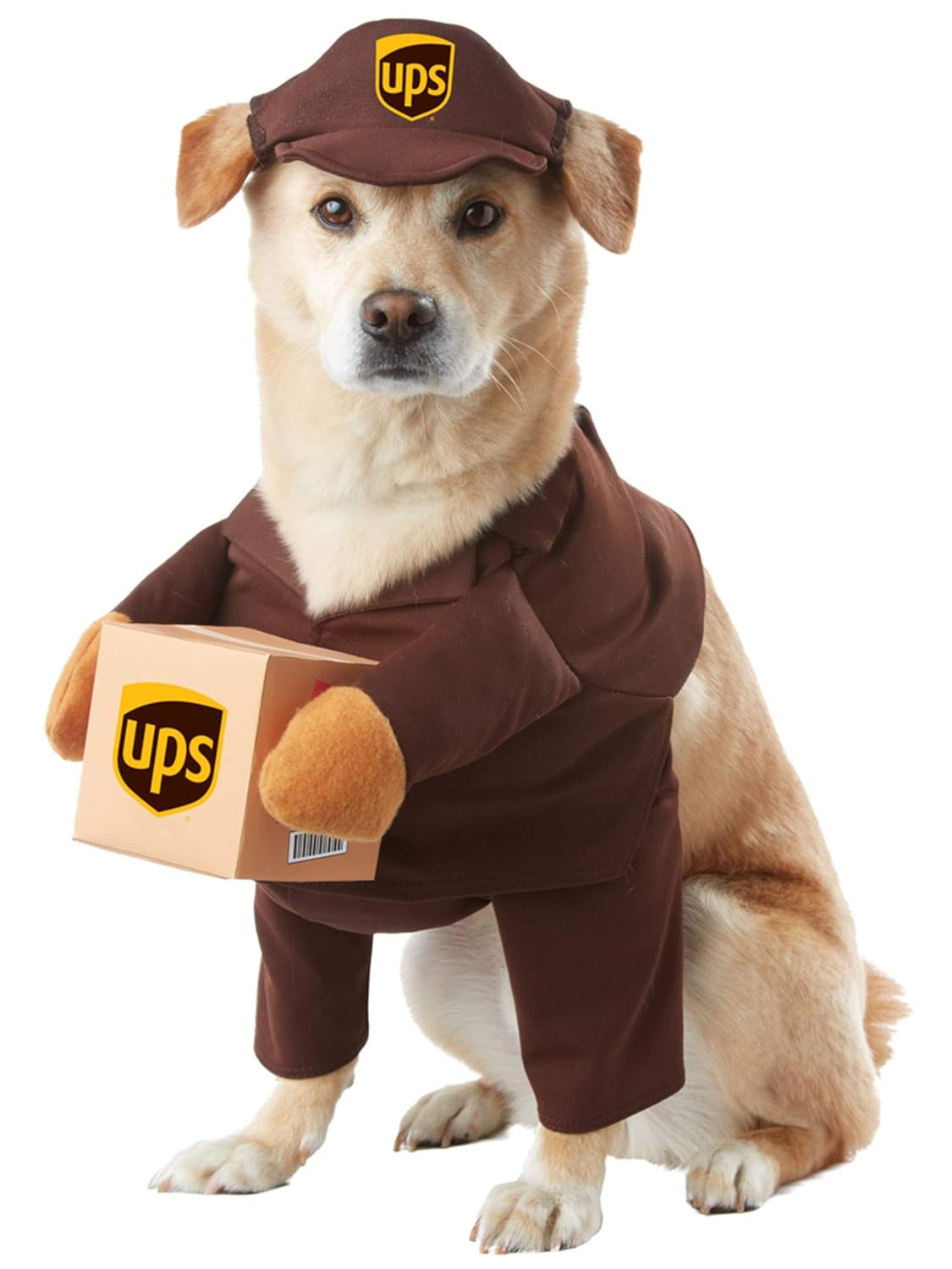 Dog Costumes Amazon Unique 11 Best Halloween Costumes for Your Dog On Amazon Right now