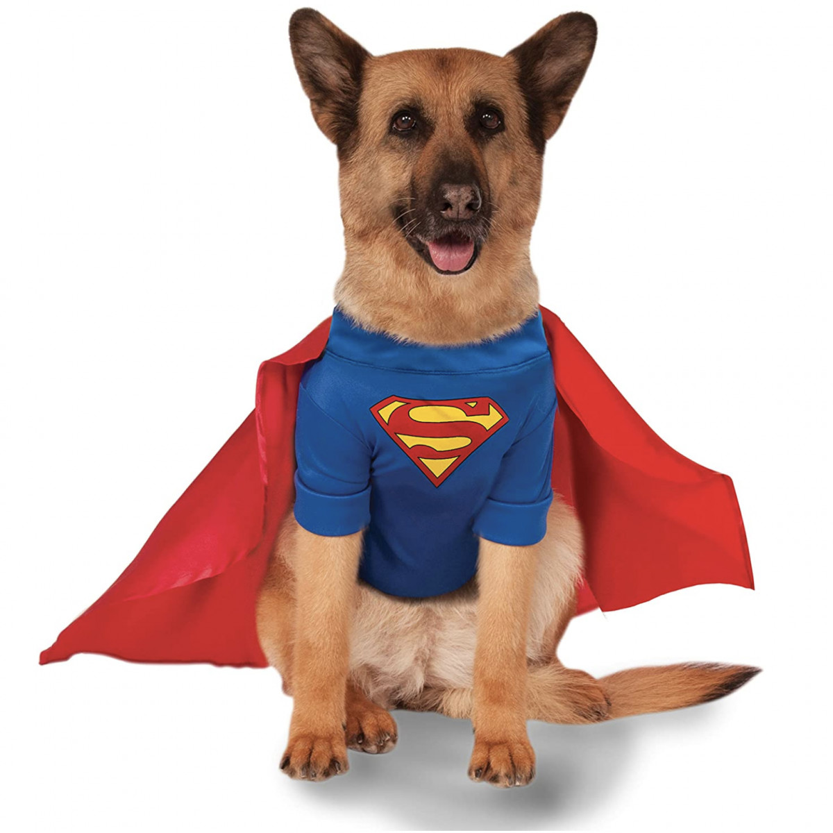 Dog Costumes for Large Dogs Fresh 20 Cute Halloween Costumes for Extra Dogs Up to 3xl Hey