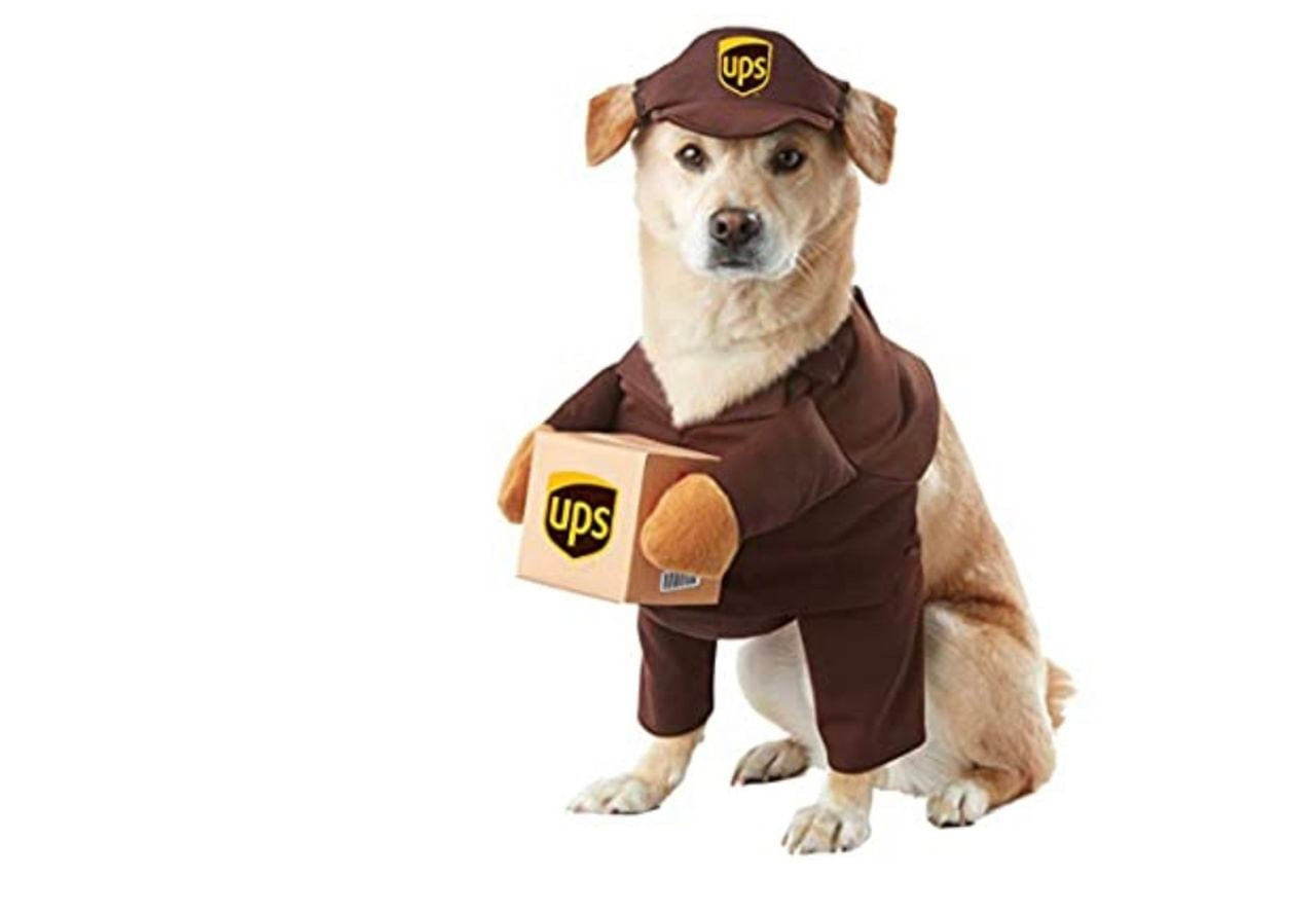 Dog Costumes for Medium Dogs Luxury these Cute Halloween Dog Costumes are Perfect for Medium to Large Dogs