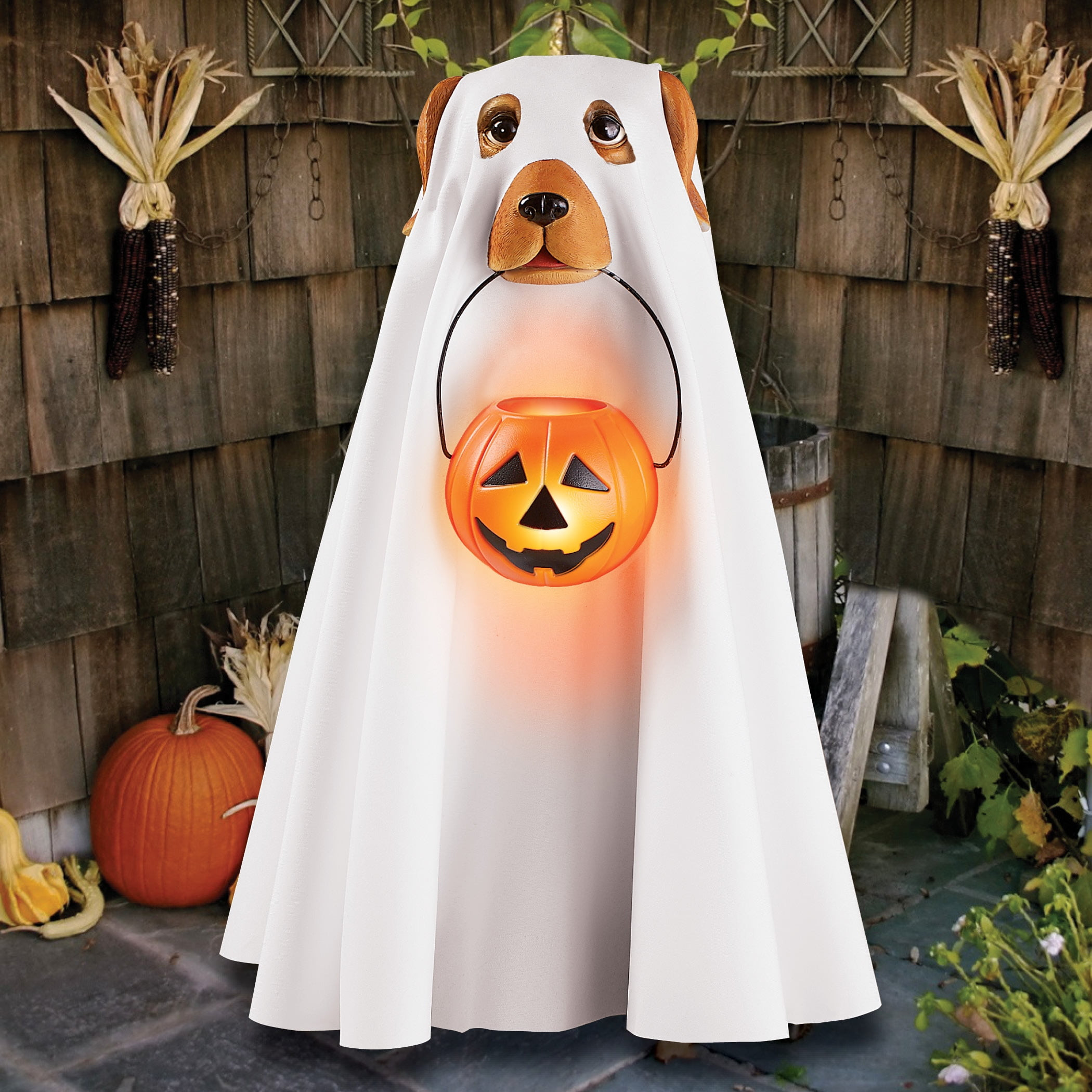 Dog Ghost Costume New Cute Ghost Dog In Halloween Costume Featuring Led Lighted Trick or