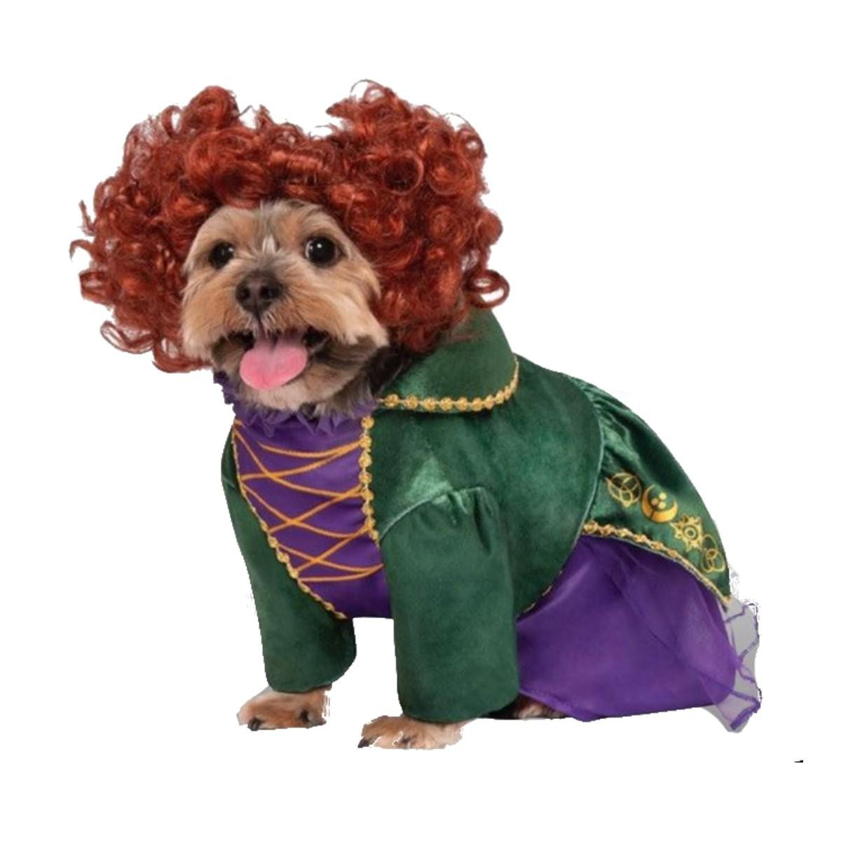 Dog Hocus Pocus Costume Luxury Hocus Pocus Winifred Sanderson Dog Costume by