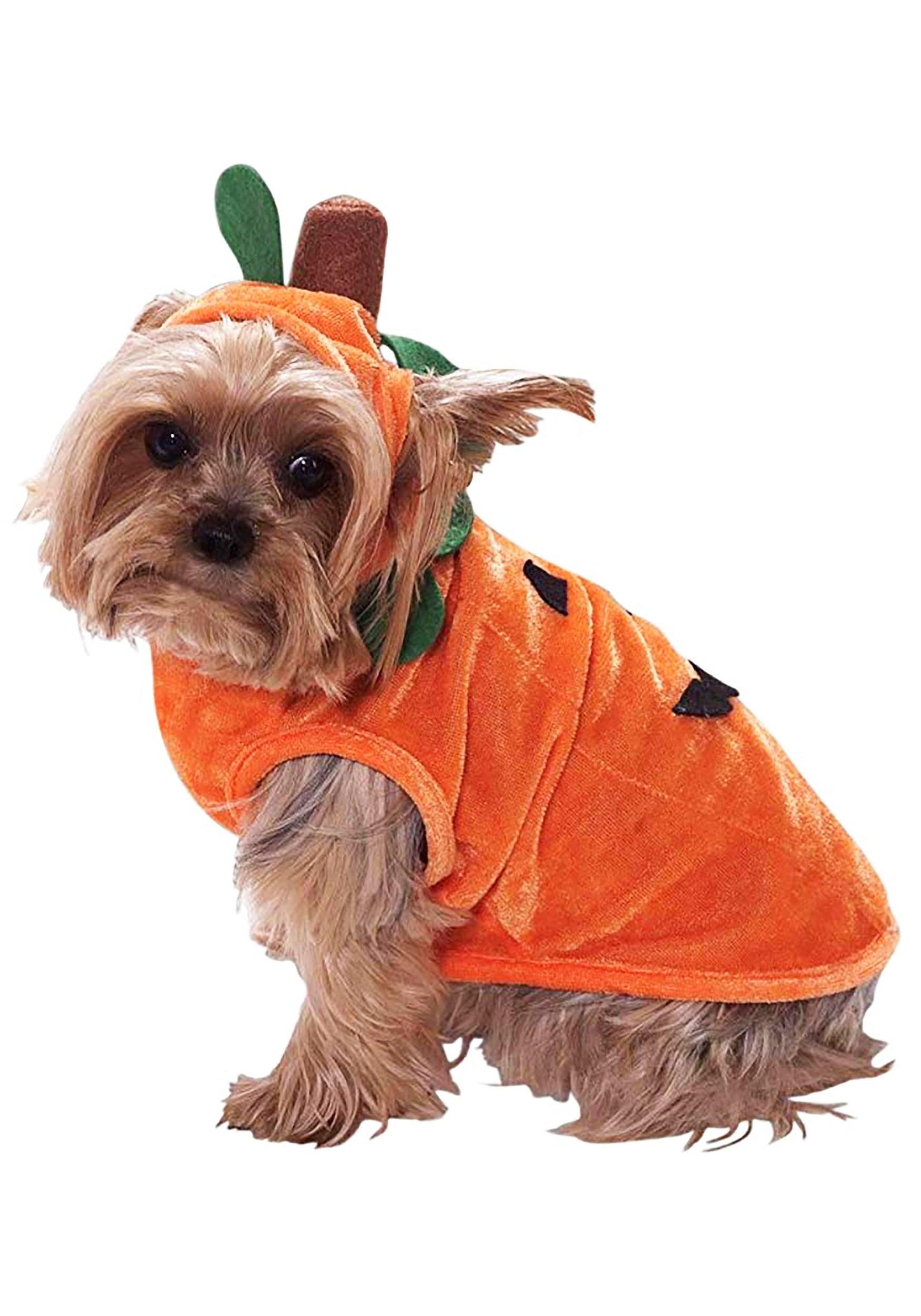 Dog Pumpkin Costume Luxury Dog Pumpkin Costume