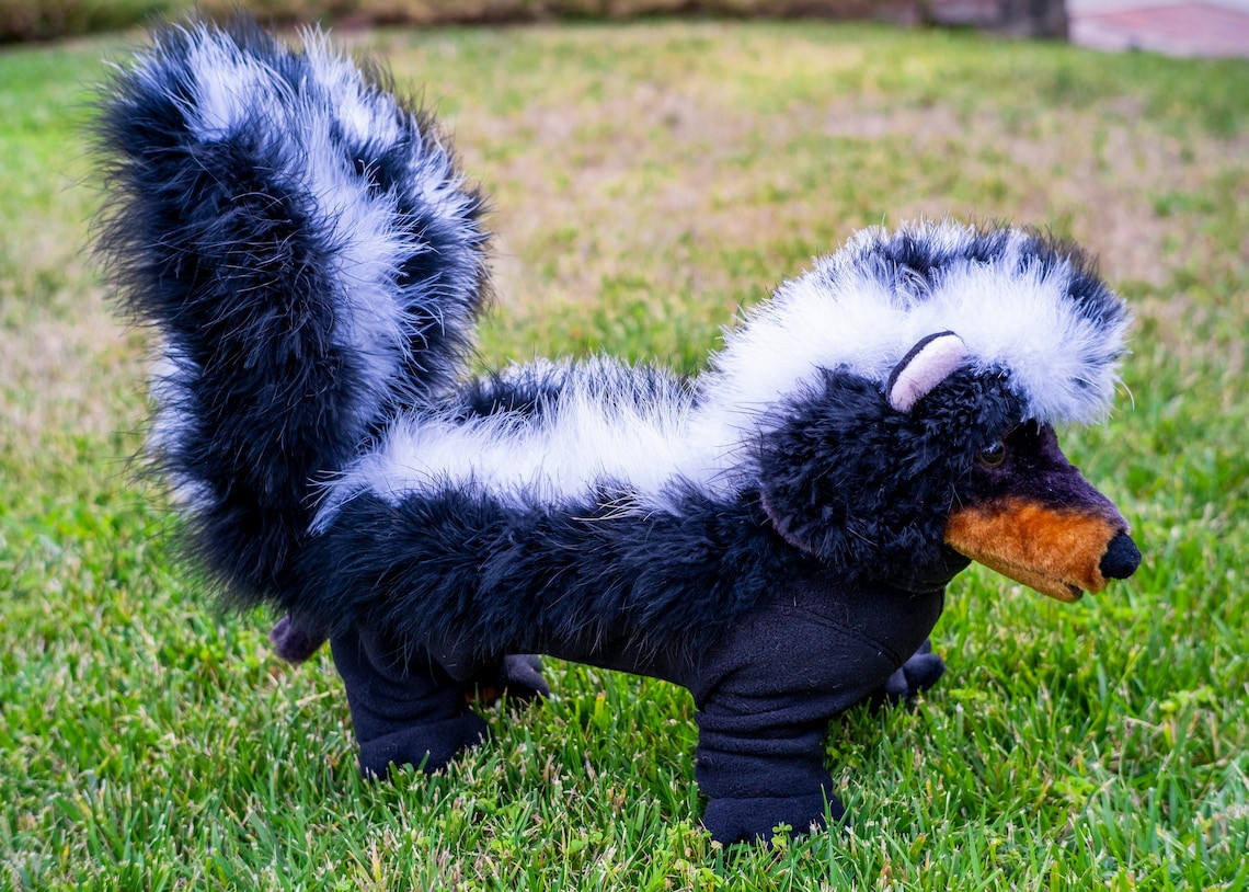 Dog Skunk Costume New 4 Legged Pj Style Skunk Costume for Small Dogs