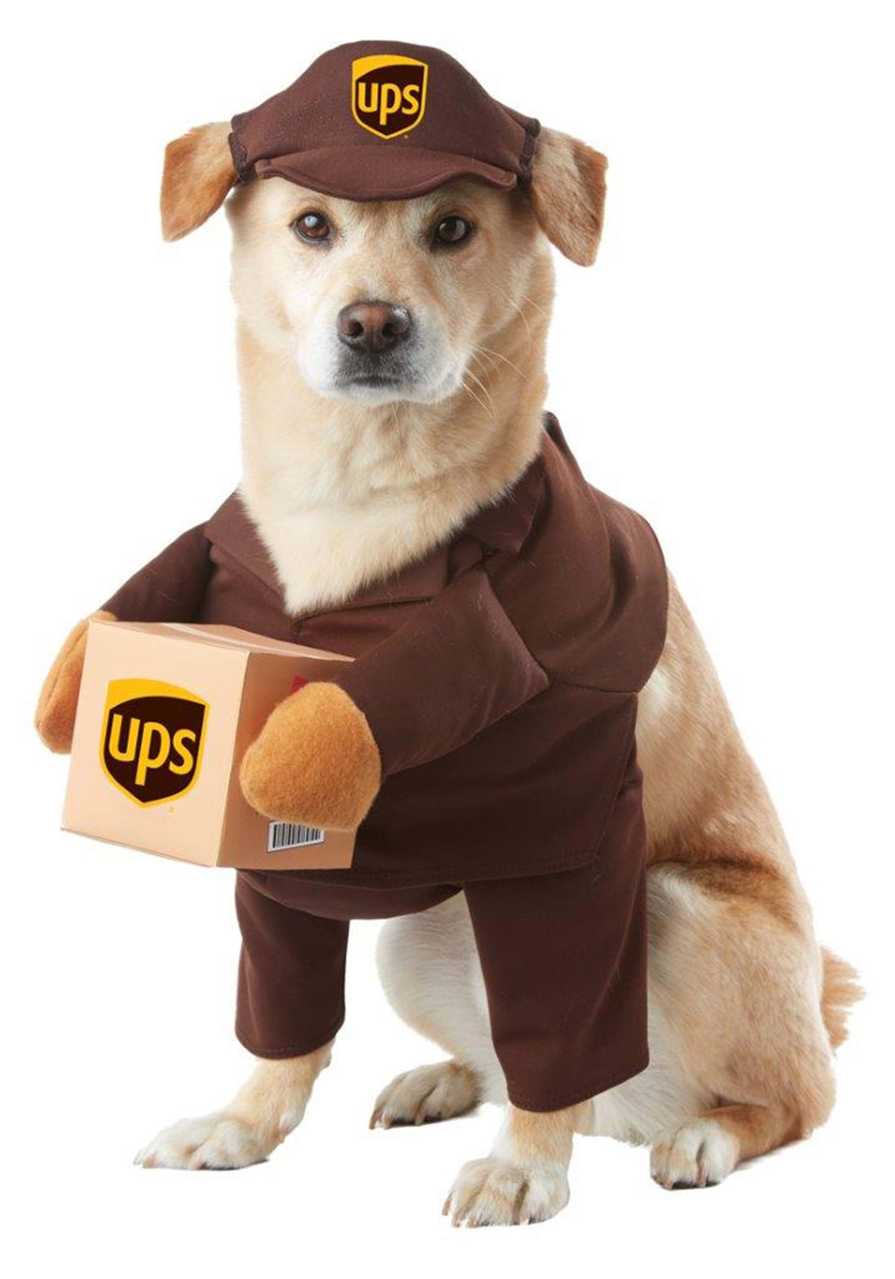 Dog Ups Costume Inspirational Ups Dog Costume