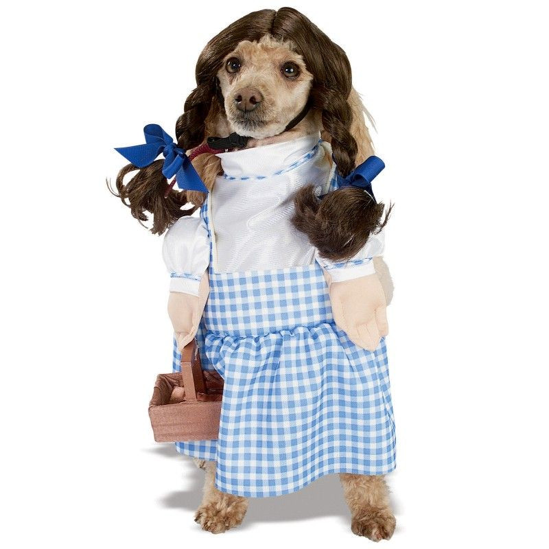 Dorothy Dog Costume Elegant the Wizard Of Oz Dorothy Dog Costume