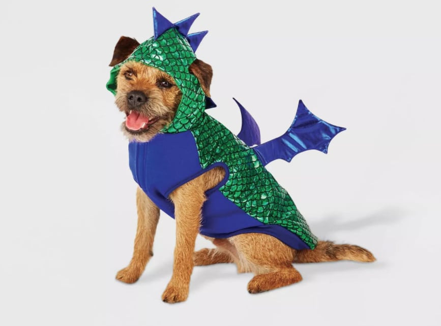 Dragon Costumes for Dogs Beautiful Dragon Dog Costumes