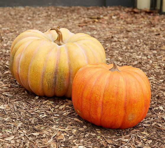 Fake Pumpkins for Outside Best Of Outdoor Autumnal Faux Pumpkin