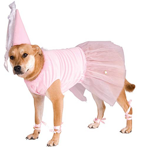 Female Dog Costumes Inspirational 7 Cute Dog Halloween Costumes for Girl Dogs