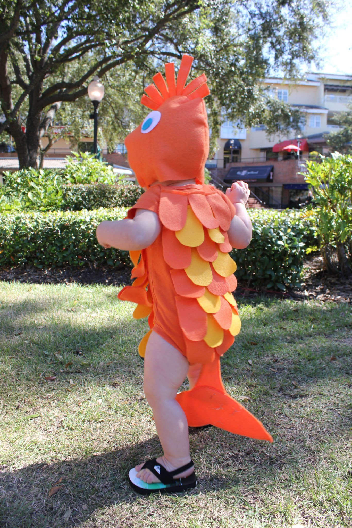 Fish Halloween Costume New Diy Fish Costume for the Family No Sewing