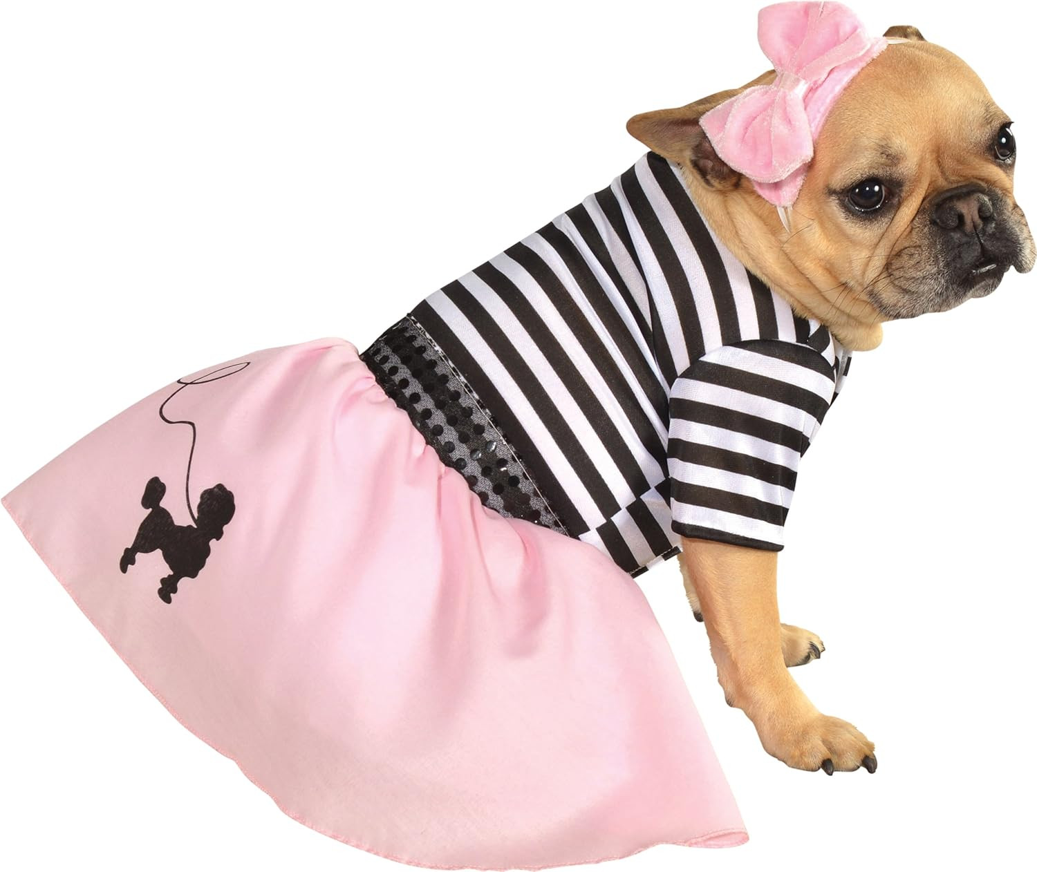 Frenchie Dog Costumes Beautiful French Bulldog Costume top 10 for A Frenchie Halloween