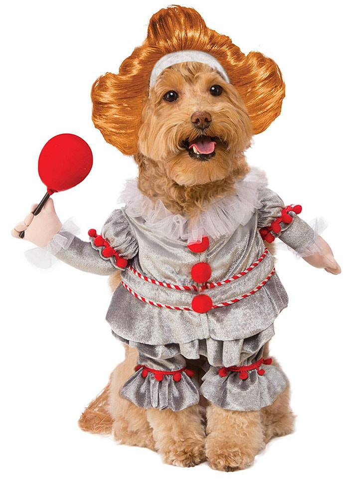 Funny Dog Halloween Costumes Inspirational 15 Funny Dog Costumes for Halloween