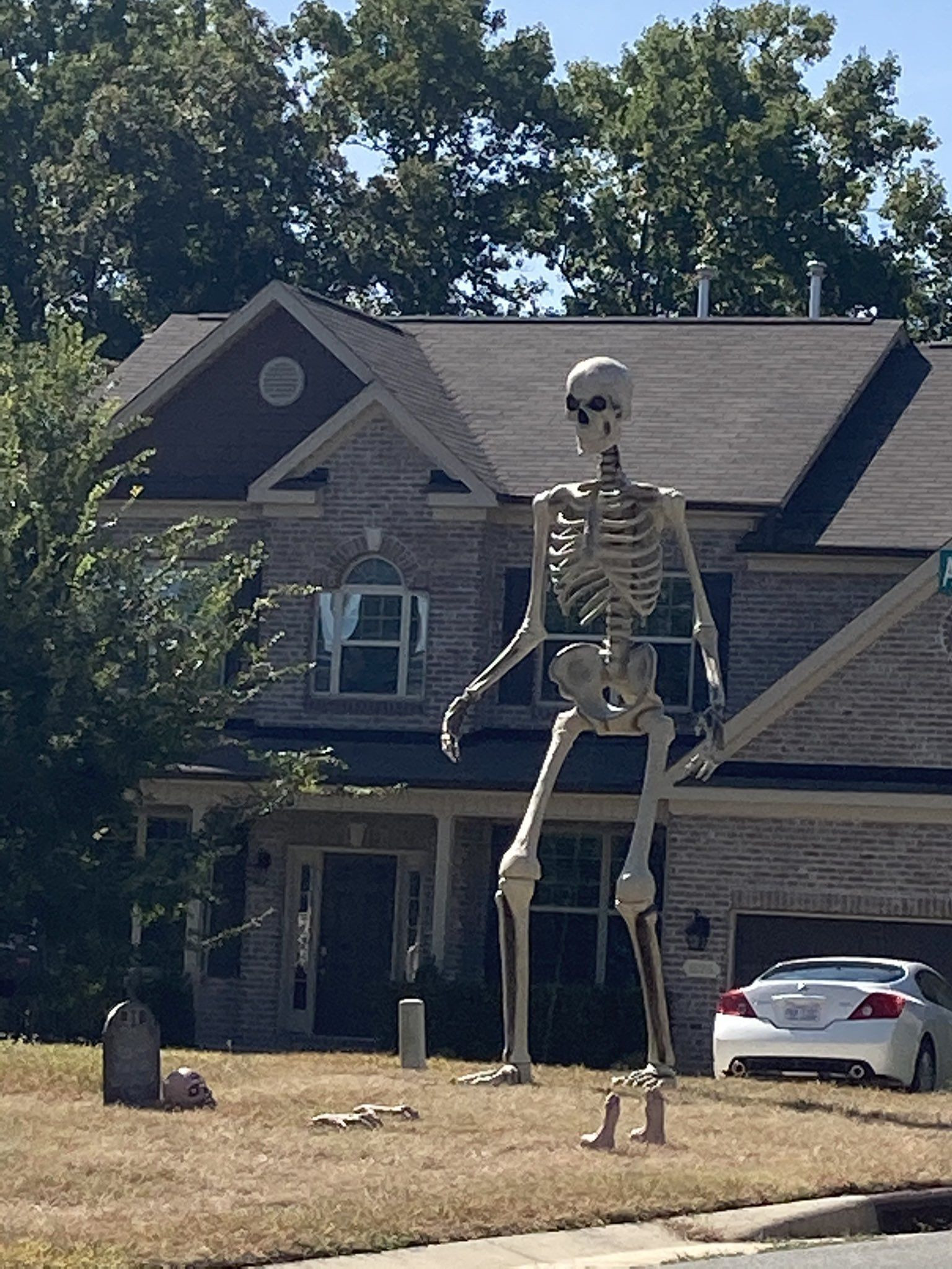 Giant Outdoor Skeleton Awesome Home Depot S Giant 12 Ft Tall Halloween Skeleton Decoration Dr Wong