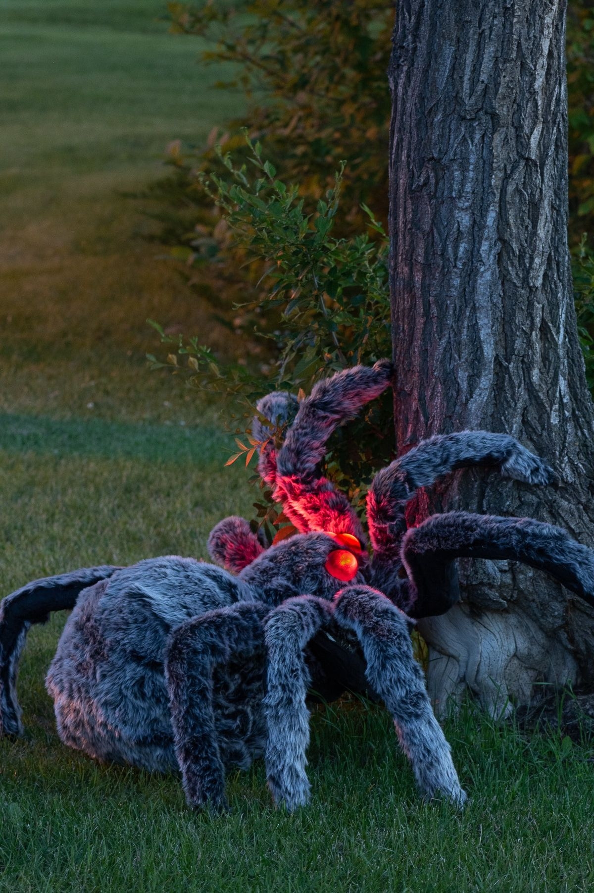 Giant Spider Decoration Outdoor Fresh Diy Giant Halloween Spider Decoration to Scare Your Neighbours