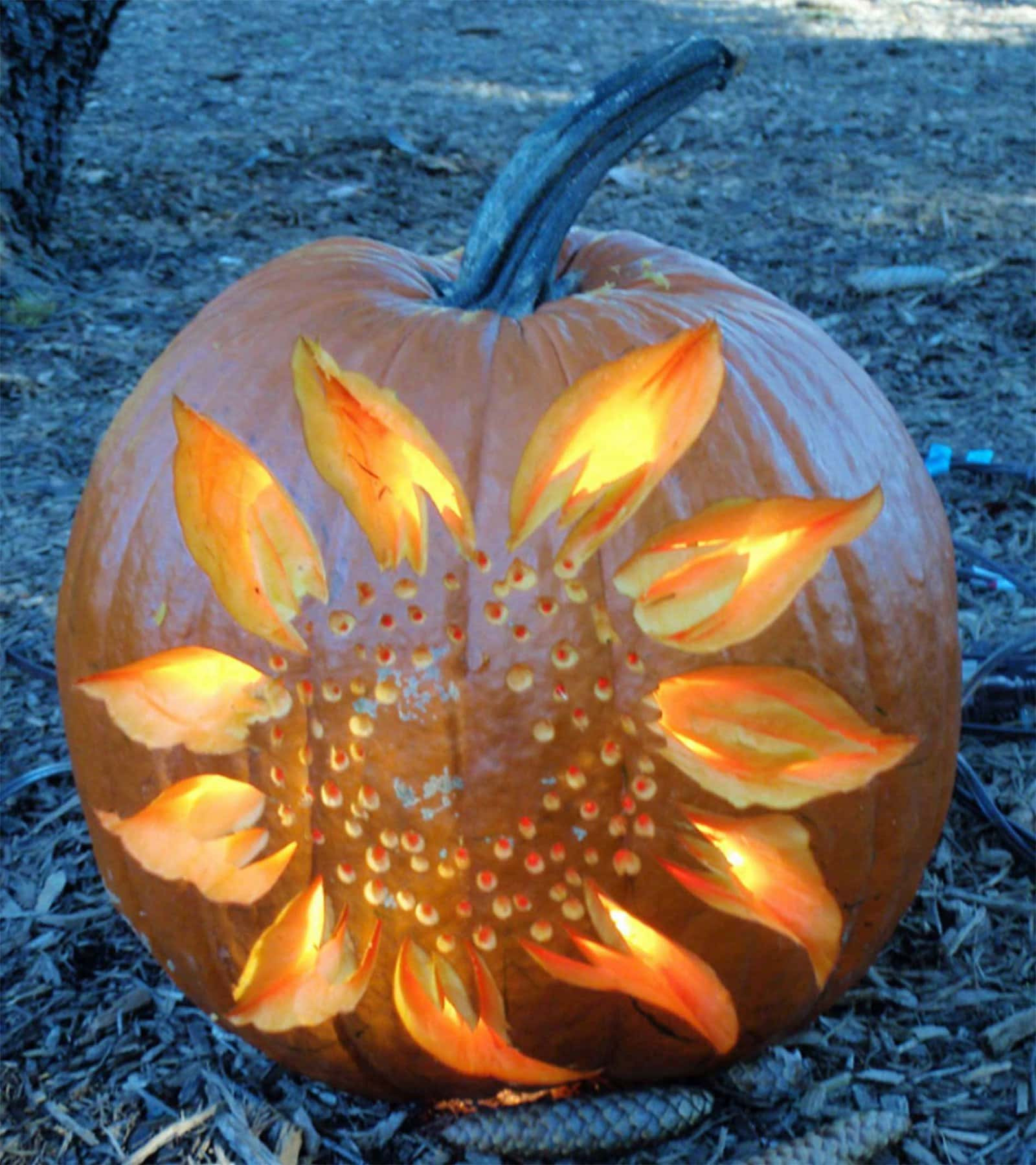 Good Pumpkin Ideas Inspirational 50 Of the Best Pumpkin Decorating Ideas Kitchen Fun with My 3 sons