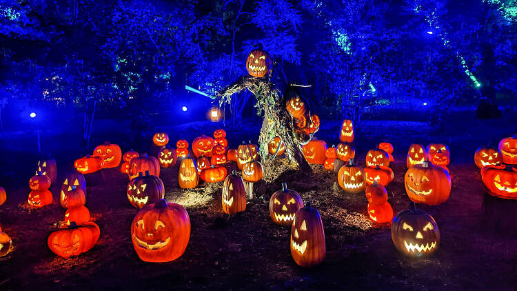 Halloween Day events Luxury 51 Best Halloween events In L A for Spooky Fun In 2023