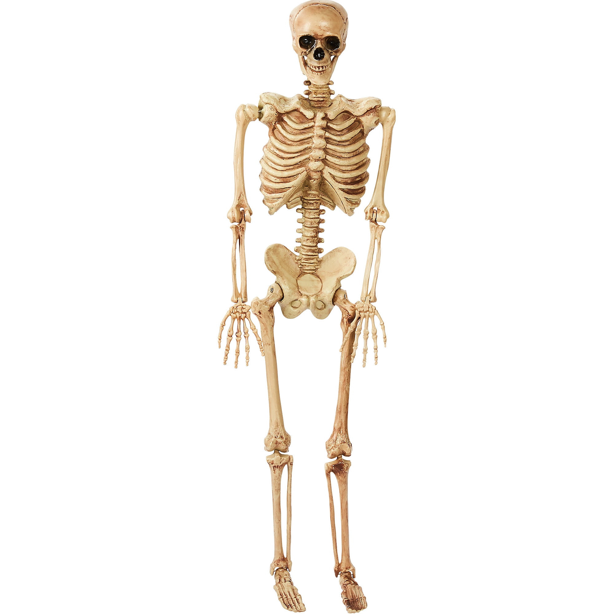 Halloween Skeleton 5ft New 5 Feet 5 Poseable Lifesize Plastic Skeleton Halloween Prop Decoration