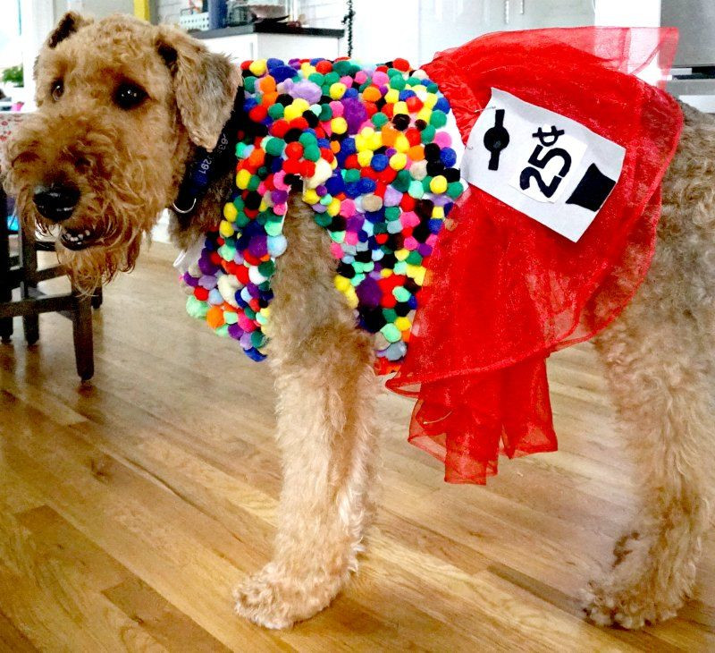 Handmade Dog Costumes Unique Diy Halloween Costumes for Dogs My Life and Kids