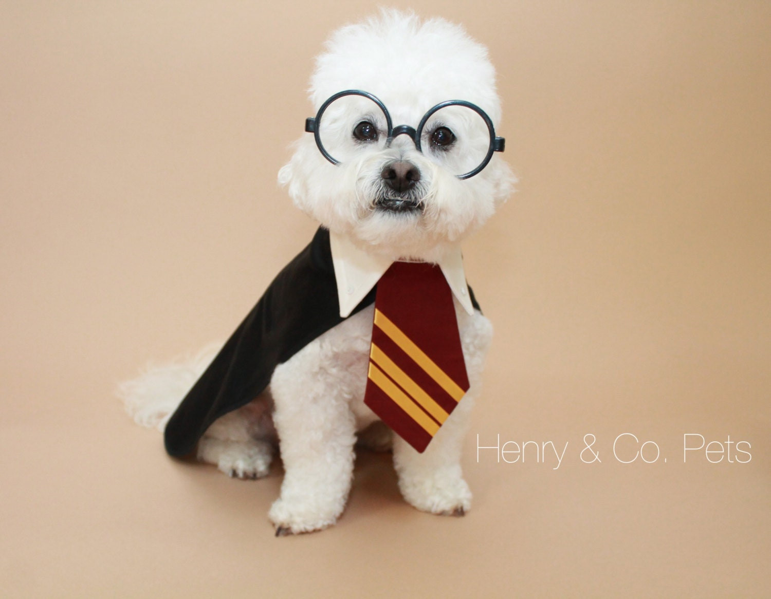 Harry Potter Dog Costume Lovely Harry Potter Dog Costume Halloween Dog Costume by Henryandcopets