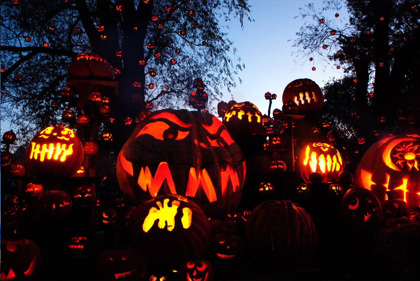 History Jack O Lantern Unique the History Of the Jack O Lantern &amp; How It All Began with A Turnip